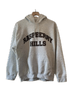 Raspberry Hills Hoodie Grey Gv Gallery